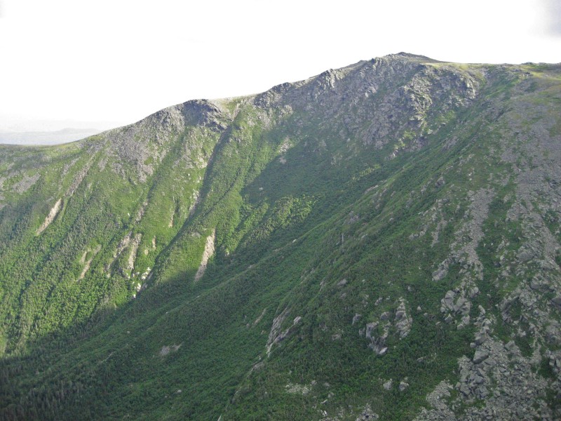 From lush forest to barren rock